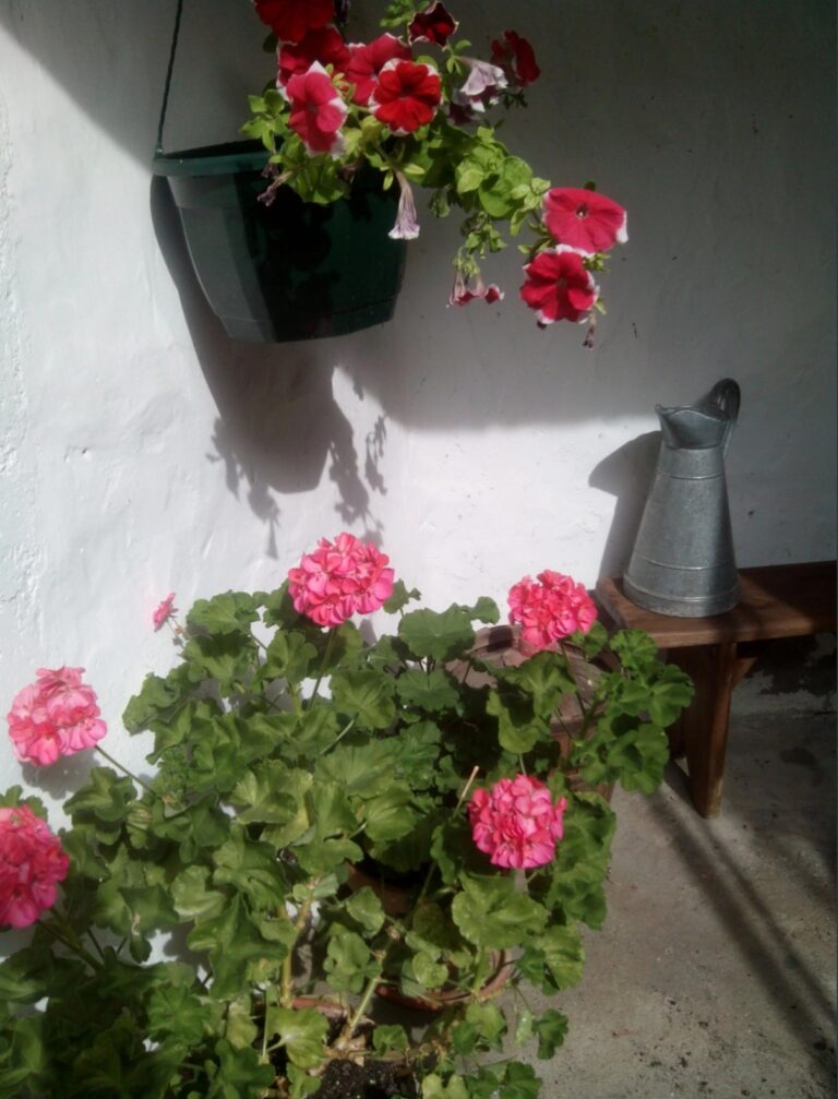 Casa Silverio